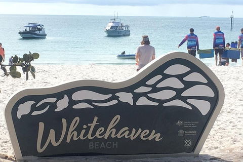 Whitehaven Beach And Hill Inlet | Awesome Beach BBQ | Family Friendly - Great Ocean Road Restaurant 5