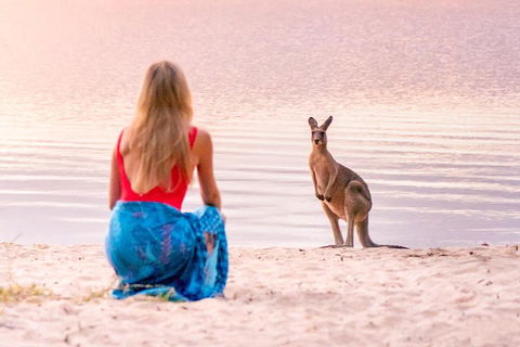 Serenity Cruise To Australia's Everglades - Great Ocean Road Restaurant 3