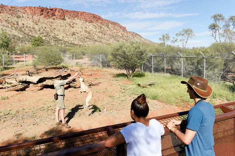 Alice Springs Desert Park General Entry Ticket - Great Ocean Road Restaurant 4