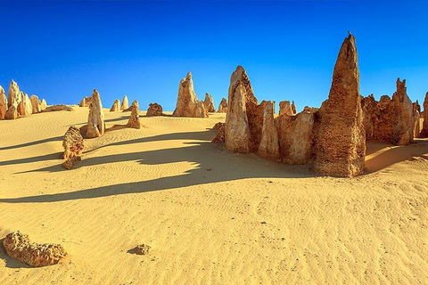 Full-Day Pinnacles Desert And Yanchep National Park Tour From Perth - Great Ocean Road Restaurant 2