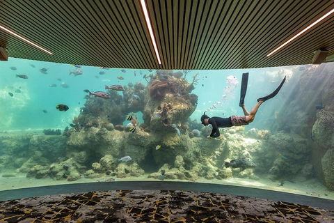 Whitehaven Beach And Daydream Island Cruise - Great Ocean Road Restaurant 4