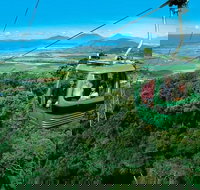 Kuranda Rainforest station Scenic railway and Skyrail tour - Great Ocean Road Restaurant