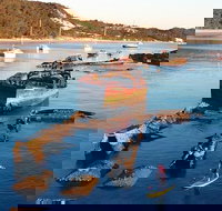 Adventure Moreton Island Wrecks Adventure Package - Great Ocean Road Restaurant