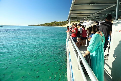 Adventure Moreton Island Wrecks Adventure Package - Great Ocean Road Restaurant 1