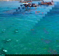 Adventure Moreton Island Scuba Dive Tour - Great Ocean Road Restaurant