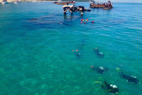 Adventure Moreton Island Scuba Dive Tour - Great Ocean Road Restaurant 0