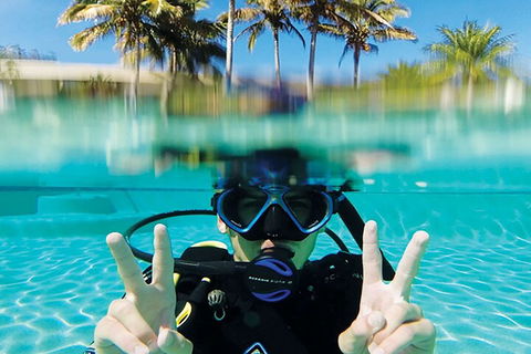 Adventure Moreton Island Scuba Dive Tour - Great Ocean Road Restaurant 2