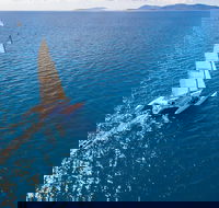 2-Night Whitsunday Islands Sailing Adventure on Trimaran Avatar - Great Ocean Road Restaurant