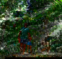 Full Day Daintree Rainforest and Mossman Gorge Tour - Great Ocean Road Restaurant