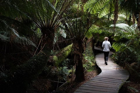 Private Tour Of Melbourne - Great Ocean Road Restaurant 2