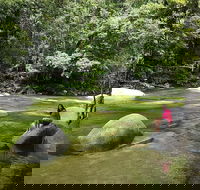 Daintree Dreaming Traditional Aboriginal Fishing from Cairns or Port Douglas - Great Ocean Road Restaurant