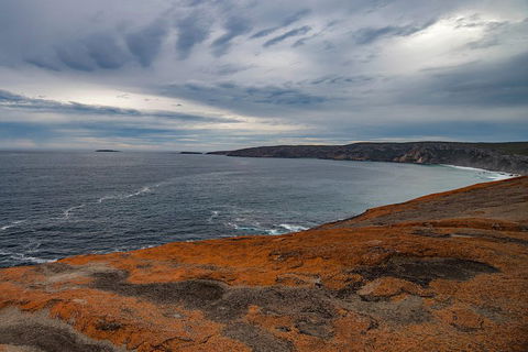 Kangaroo Island Luxury Small Group 'Flinders Chase Focus' Full Day Tour - Great Ocean Road Restaurant 0