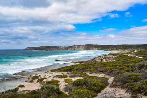 Kangaroo Island Luxury Small Group 'East End Explorer' Full Day Tour - Great Ocean Road Restaurant 0