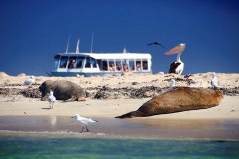 Dolphin, Penguin And Sea Lion Cruise - Great Ocean Road Restaurant 1