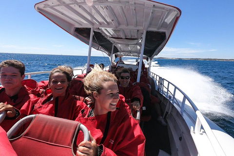 Adventure Rottnest Tour With Ferry & Adventure Cruise From Perth Or Fremantle - Great Ocean Road Restaurant 0