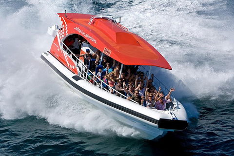 Adventure Rottnest Tour With Ferry & Adventure Cruise From Perth Or Fremantle - Great Ocean Road Restaurant 2