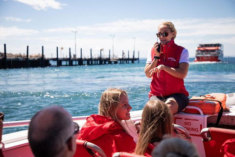 Adventure Rottnest Tour With Ferry & Adventure Cruise From Perth Or Fremantle - Great Ocean Road Restaurant 4