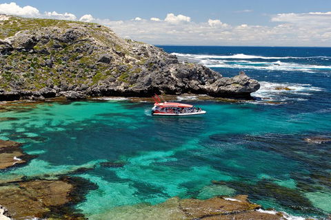 Adventure Rottnest Tour With Ferry & Adventure Cruise From Perth Or Fremantle - Great Ocean Road Restaurant 5