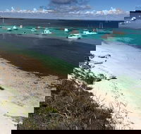Experience Rottnest with Ferry  Bike Hire from Perth or Fremantle - Great Ocean Road Restaurant