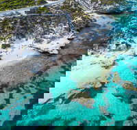 Rottnest Island Round-Trip Ferry from Perth or Fremantle - Great Ocean Road Restaurant