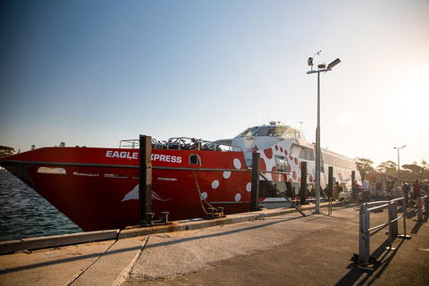 Rottnest Island Round-Trip Ferry From Perth Or Fremantle - Great Ocean Road Restaurant 2