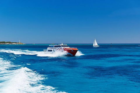 Rottnest Island Round-Trip Ferry From Perth Or Fremantle - Great Ocean Road Restaurant 4