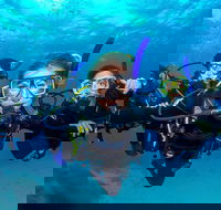 Great Barrier Reef Diving and Snorkeling Cruise from Cairns - Great Ocean Road Restaurant