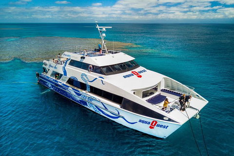 Great Barrier Reef Diving And Snorkeling Cruise From Cairns - Great Ocean Road Restaurant 5