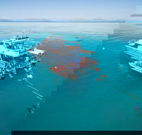 Ocean Freedom Great Barrier Reef Personal Luxury Snorkel  Dive Cruise Cairns - Great Ocean Road Restaurant