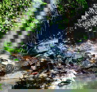 Full Day Small Group Luxury Tour to Tamborine Mountain - Great Ocean Road Restaurant