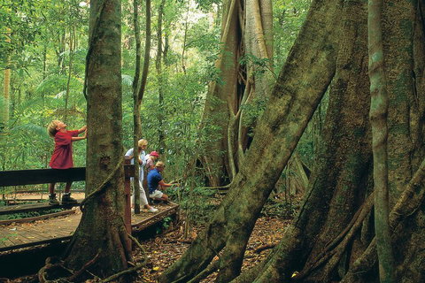 Full Day Small Group Luxury Tour To Tamborine Mountain - Great Ocean Road Restaurant 1