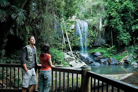 Full Day Small Group Luxury Tour To Tamborine Mountain - Great Ocean Road Restaurant 4