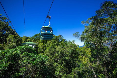 Classic Kuranda By Skyrail And Scenic Railway Including Rainforestation, Koala And Wildlife Park And Pamagirri Aboriginal Experi - Great Ocean Road Restaurant 0