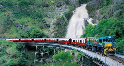 Classic Kuranda By Skyrail And Scenic Railway Including Rainforestation, Koala And Wildlife Park And Pamagirri Aboriginal Experi - Great Ocean Road Restaurant 1
