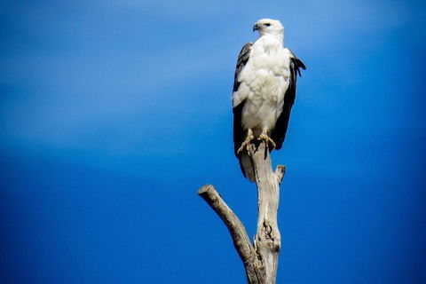 Kangaroo Island 75-Minute Ocean Safari - Great Ocean Road Restaurant 0