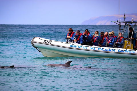 Kangaroo Island 75-Minute Ocean Safari - Great Ocean Road Restaurant 4