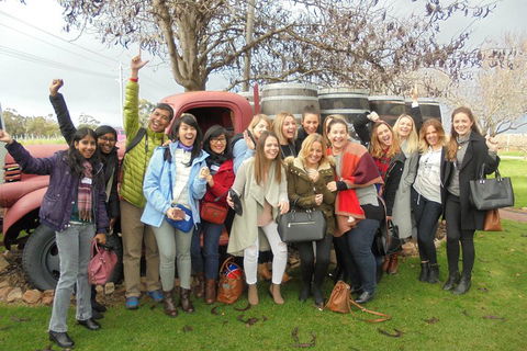 1/2 Day Swan Valley Wine Cheese & Chocolate Tour Inc Afternoon Cruise To Perth - Great Ocean Road Restaurant 5