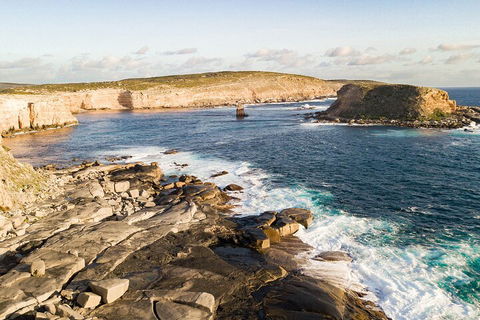 One Day Port Lincoln Tour - Tasting Eyre - Great Ocean Road Restaurant 3