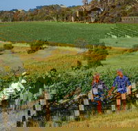 10 Day Perth to Adelaide Private Tour - The Great Australian Wilderness Journey - Great Ocean Road Restaurant