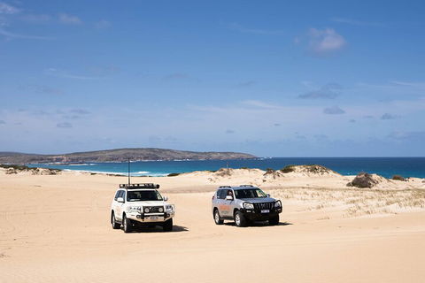 3 Day Port Lincoln And Coffin Bay Private Tour - Great Ocean Road Restaurant 0