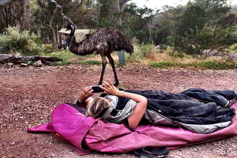 6 Day Esperance & Margaret River Adventure Tour - Great Ocean Road Restaurant 5