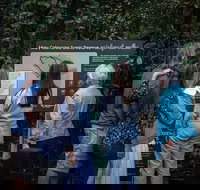 Sunshine Coast Hinterland and Noosa Day Trip from Brisbane Including Eumundi Markets and Ginger Factory - Great Ocean Road Restaurant