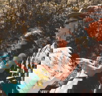 Springbrook andTamborine Rainforest Tour Incl Natural Bridge and Glow Worm Cave - Great Ocean Road Restaurant