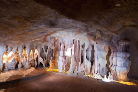 Springbrook AndTamborine Rainforest Tour Incl Natural Bridge And Glow Worm Cave - Great Ocean Road Restaurant 4