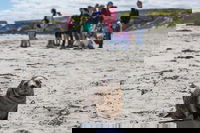 Book Viator Accommodation Vacations Great Ocean Road Restaurant Great Ocean Road Restaurant