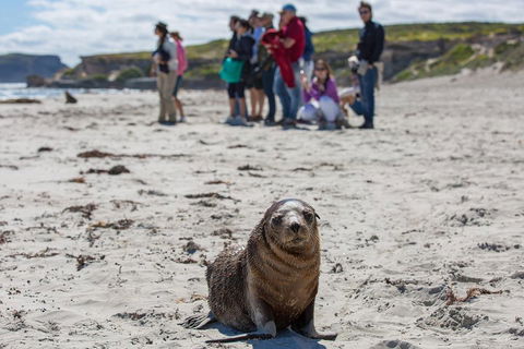 Kangaroo Island In A Day Tour From Adelaide - Great Ocean Road Restaurant 0