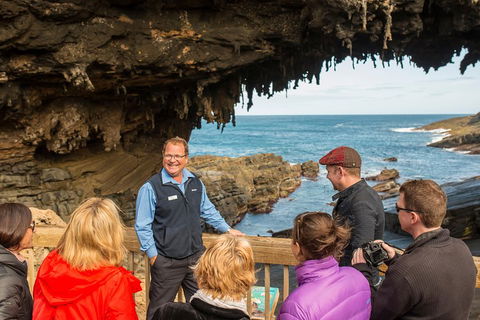 Kangaroo Island In A Day Tour From Adelaide - Great Ocean Road Restaurant 3