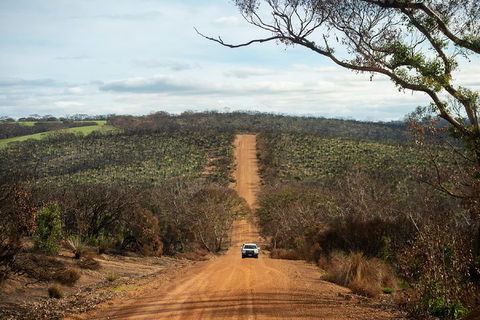 NEW TOUR - Kangaroo Island Road To Recovery Tour (1 Day/1 Night) - Great Ocean Road Restaurant 2