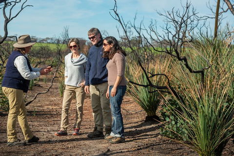 NEW TOUR - Kangaroo Island Road To Recovery Tour (1 Day/1 Night) - Great Ocean Road Restaurant 4