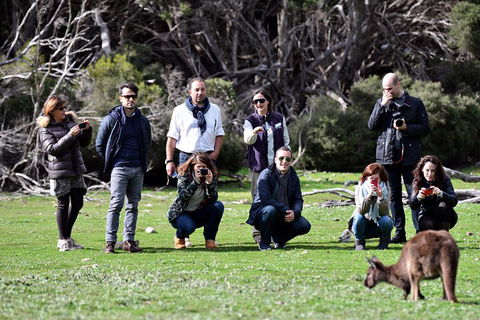 Small-Group Kangaroo Island 4WD Tour From Adelaide - Great Ocean Road Restaurant 2
